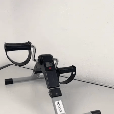 GIF/video 3