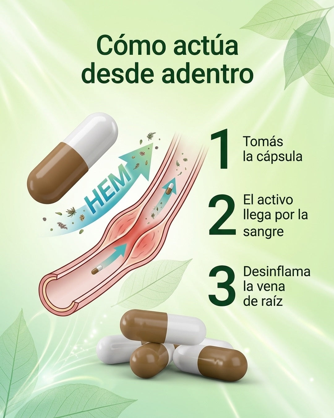 C&oacute;mo act&uacute;a desde adentro